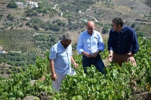 agricultura